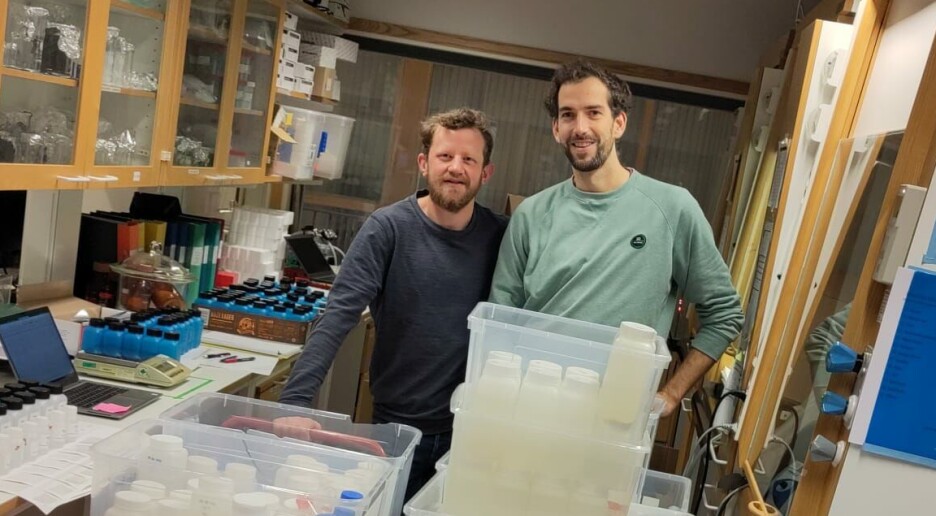 PFAS: Dette kan stoppe de farlige kjemikaliene fra å lekke ut i naturen