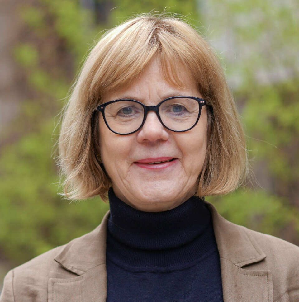 – Det er interessant at privat ansatte, som ofte plasserer seg på høyresiden, ikke ønsker å kutte i offentlige budsjetter, sier professor Ann-Helén Bay.