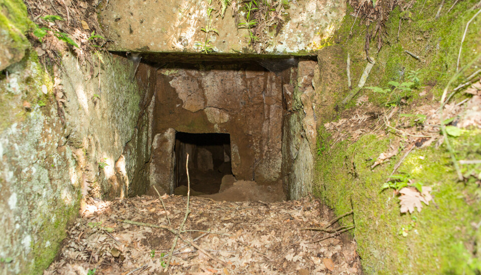 Ville du turt å krabbe inn her? Hvis du lurer på hvordan det ser ut på innsiden, kan du sjekke ut bildene på grav nummer 92 i nettportalen Etruscan
Chamber
Tombs.
