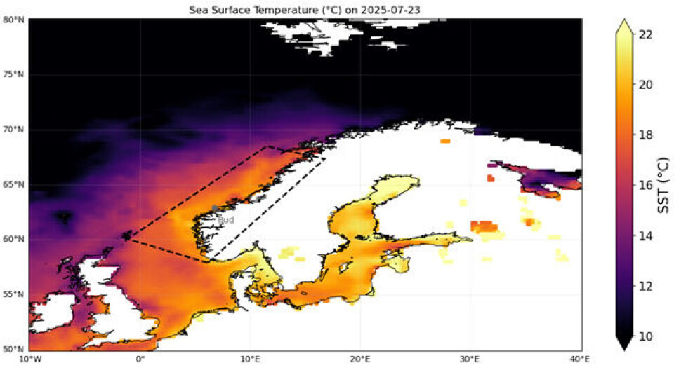 Kartet viser havoverflatetemperaturen den 23. juli 2025, på toppen av marine hetebølgen.