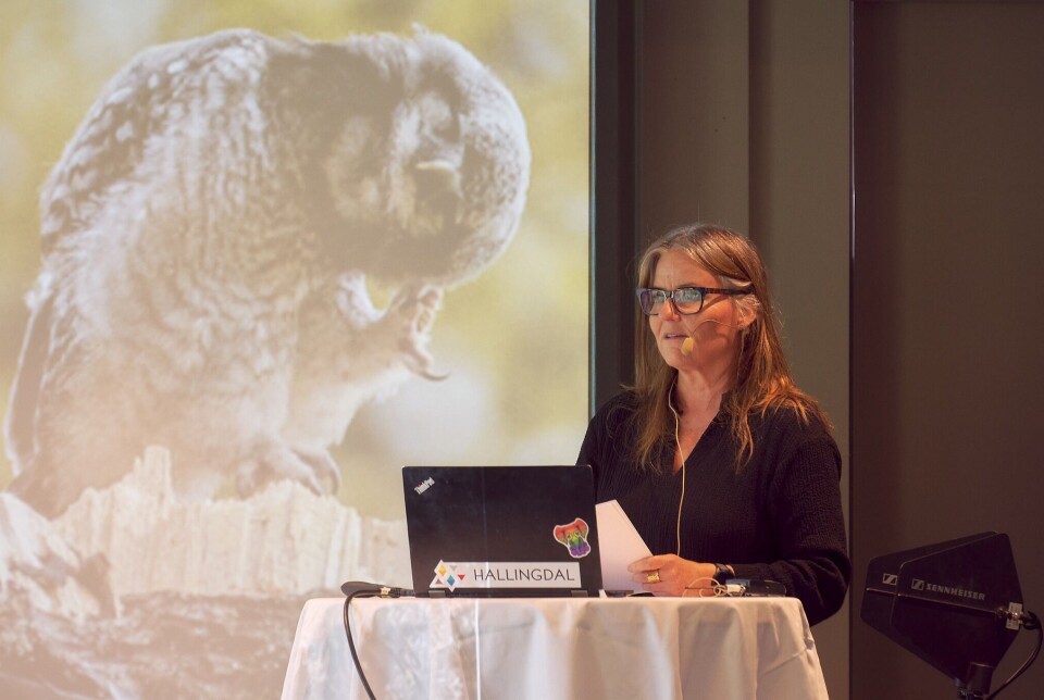 Forsker Mona Stokke.