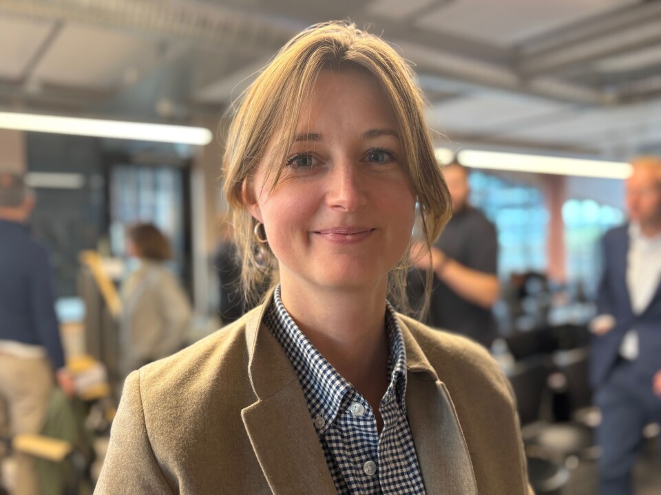 Unge jenter er opptatt av saker som handler om klima og rettferdig fordeling av penger. Unge gutter er mer opptatt av økonomi og innvandring, forteller valgforsker Stine Hesstvedt.