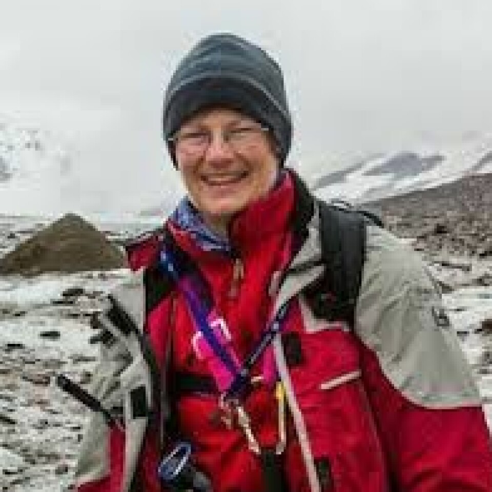 De foreslåtte meodene kan forårsake alvorlig skade og er ekstremt kostbare, advarer Regine Hock, professor ved Institutt for geofag.