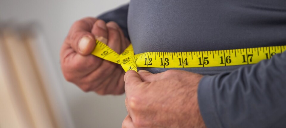 Magefett midt i livet kan sette fart på aldringsprosessen
