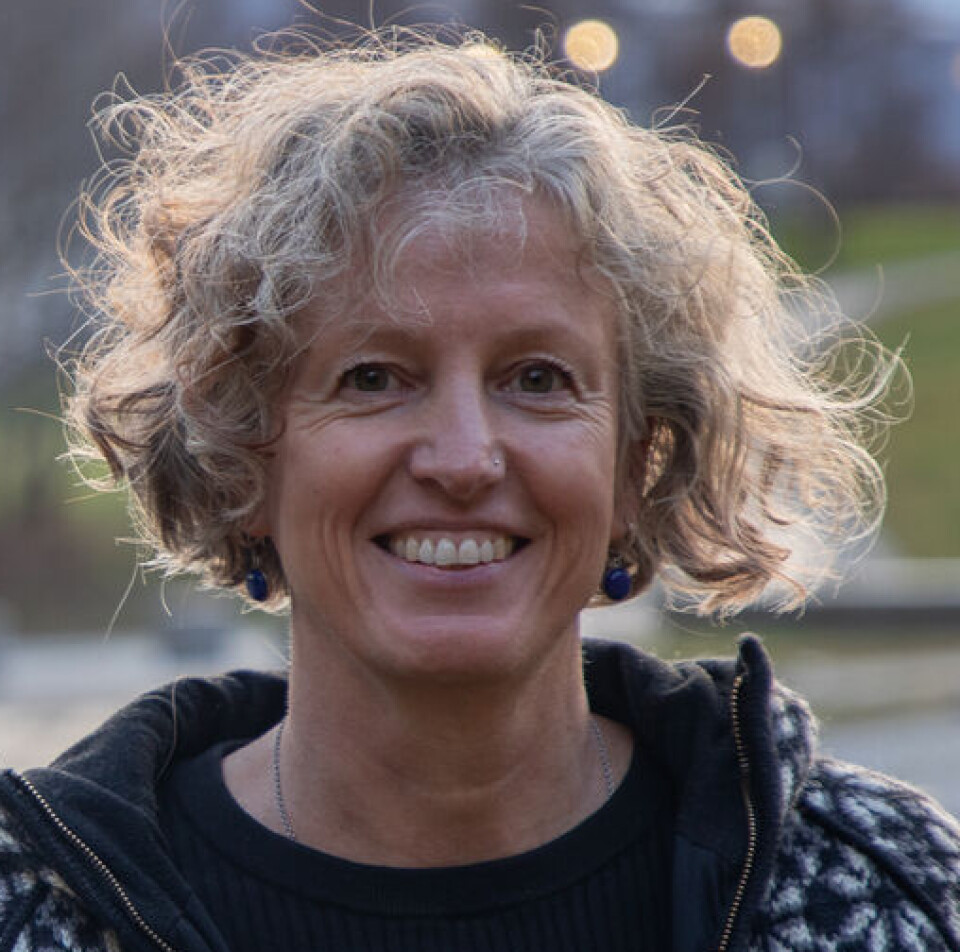 – Motstandsdyktige folk er de som kjenner trygghet i samfunnet og har tillit til hverandre, myndighetene og landet sitt, sier professor Gunhild Hoogensen Gjørv.