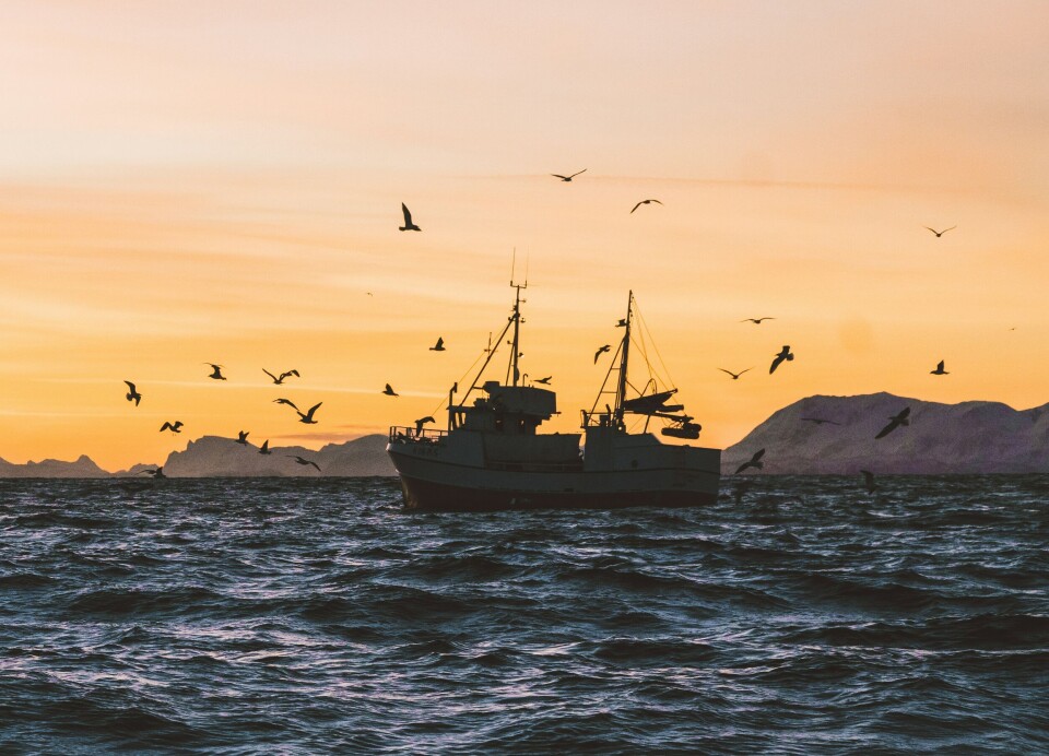 I havet kan stress for dyrene være for eksempel forurensning, klimaendring, lakseoppdrett, oljeboring, skipsfart, fiske og andre typer menneskelig aktivitet.
