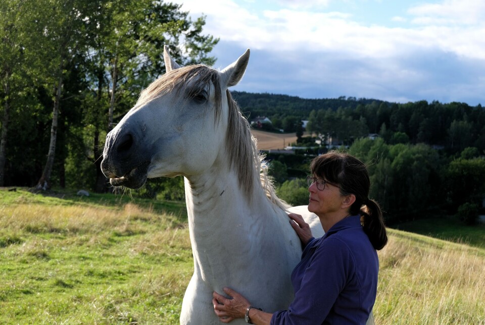 Seniorrådgjevar Grete Stokstad har leia den norske delen av prosjektet.
