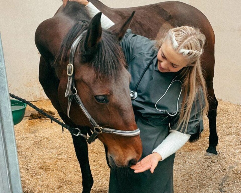 Veterinærar, travtrenarar, rideinstruktørar og hovslagarar er berre nokre av yrkesgruppene som er knytte til hestehald.