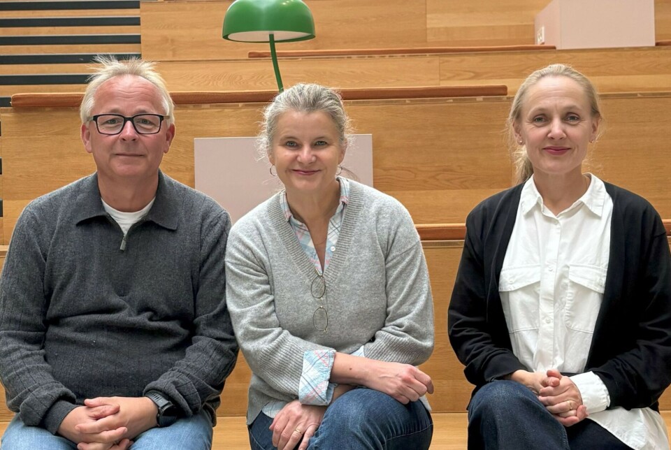 Jan Ivar Røssberg, Ingrid Dieset og Unn Haukvik.