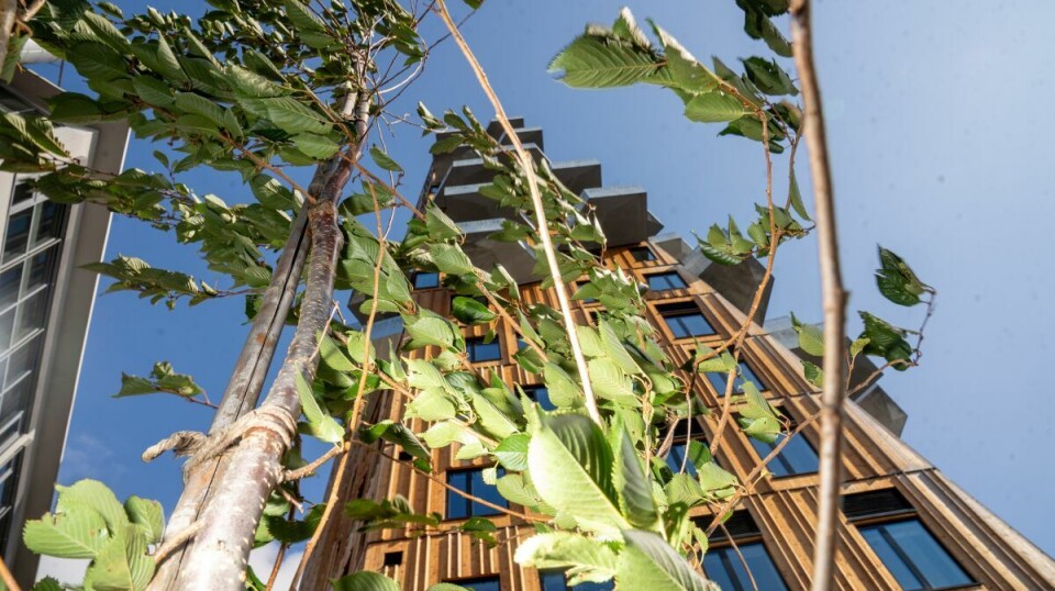 I Vertikal eksperimenteres det med naturlig ventilasjon, der vifter og sjakter erstattes av lufteluker og sensorer. Bygget skal puste og få inn lufta utenfra.