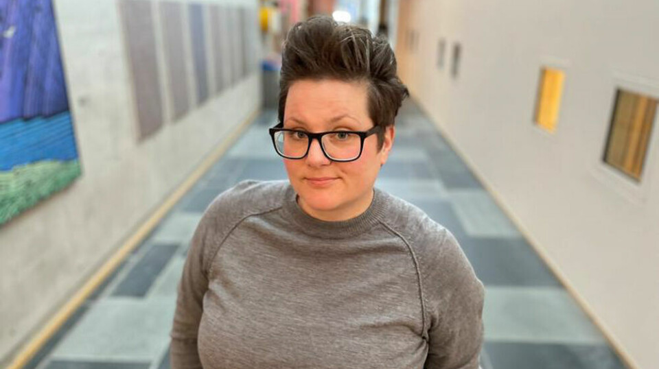 Førsteamanuensis Ingrid Bårdsdatter Bakke forsker på karriereveiledning ved Fakultet for helse- og sosialvitenskap.