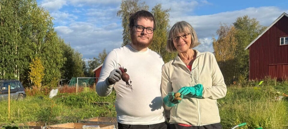 Slike hager gir bedre psykisk helse: – Forskningen er krystallklar