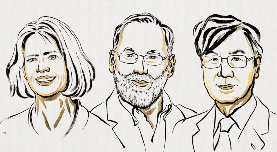 Får Nobelprisen i medisin for  forskning på immunforsvaret