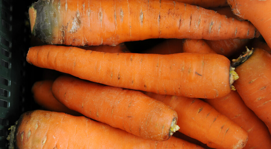 Hvorfor smaker noen gulrøtter som såpe?