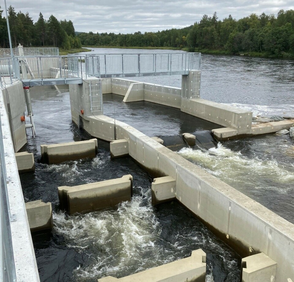 Moderne elvekraftverk med fisketrapp og flere passasjemuligheter over inntaksdammen.