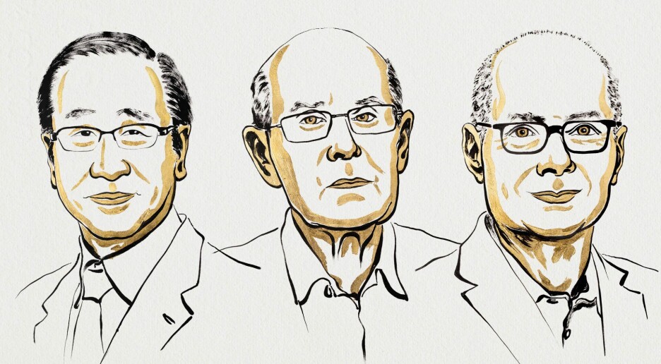 Nobelprisen i kjemi til kjemisk «svamp»: Kan rense vann og dosere medisiner