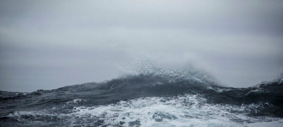 Det regner mikroplast i havet