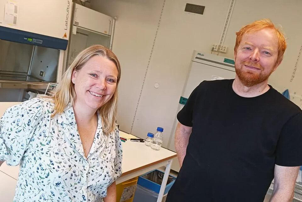 Inger Skrede og Håvard Kauserud sendte ut bomullspinnar og hanskar til deltakarane.
