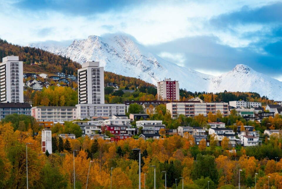 Narvik kan bli vertskap for et nytt stort datasenter.