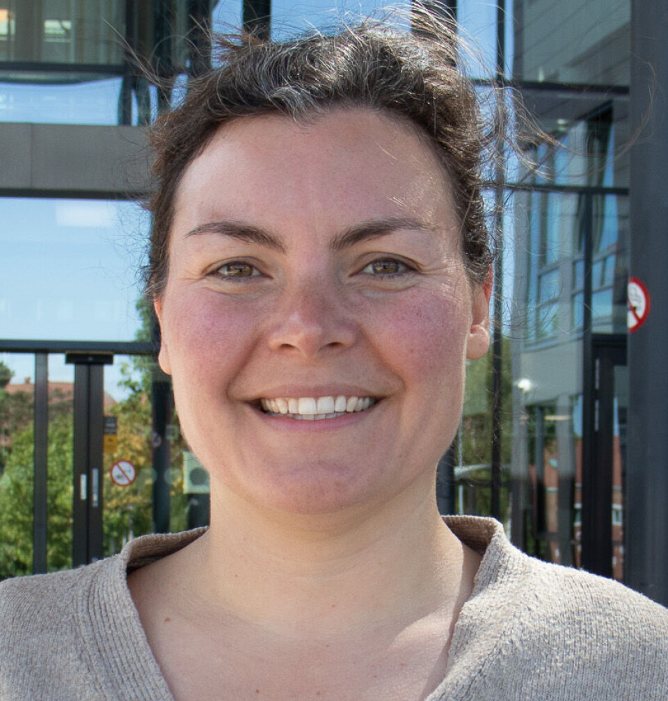 – Eg oppdaga store variasjonar. Same fisk kunne lage helt ulik avføring avhengig av kva den hadde spist. Fisk som hadde ete algar, laga bæsj som sokk saktare enn fisk som hadde ete organismar med skal, seier Martin.