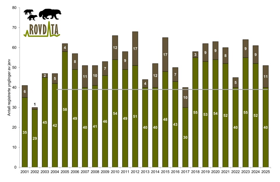 For første gang siden oppstarten av det nasjonale overvåkingsprogrammet i 2001 er det også registrert en yngling av jerv i region 2, som er Aust-Agder, Telemark, Vestfold og Buskerud.