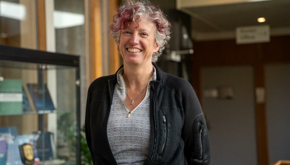 Det er vi, hver og en av oss, som må kjempe for demokratiet, sier Gunhild Hoogensen Gjørv, professor i sikkerhetsstudier og geopolitikk ved UiT.