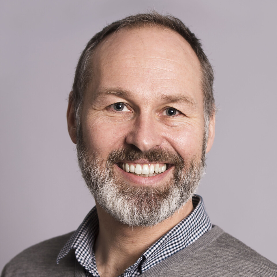 Lasse B. Lien er professor ved NHH.