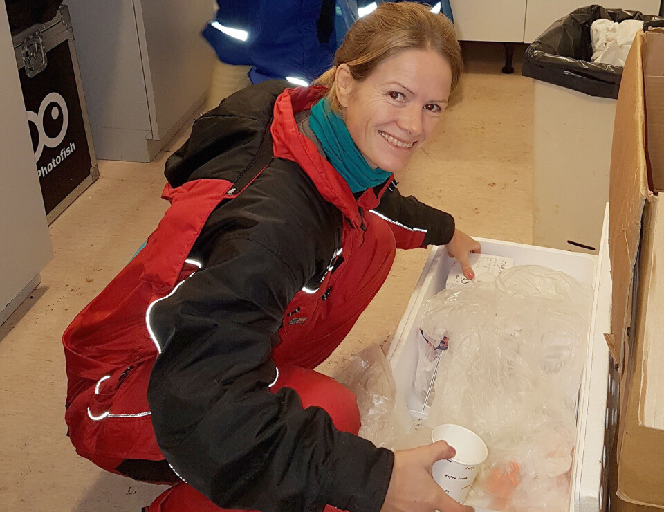 Nini Sissener har forsket på samspillet mellom mettet fett og kolesterol i laksens ernæring.