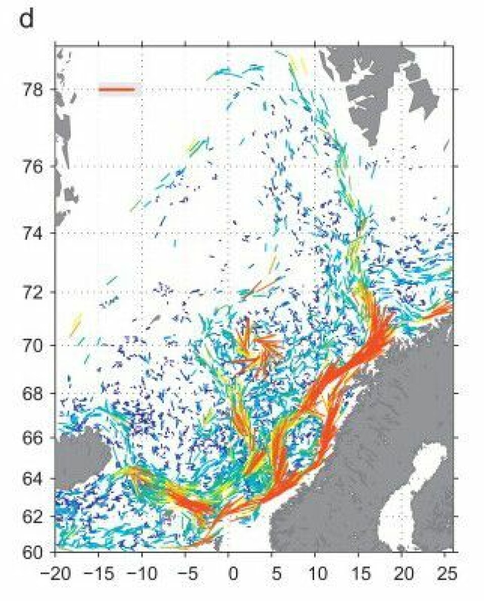 Strømhastigheter i overflaten i de nordiske hav, beregnet fra overflatebøyer. De røde pilene som danner en spiral i midten av Lofotbassenget, viser Lofotvirvelen.