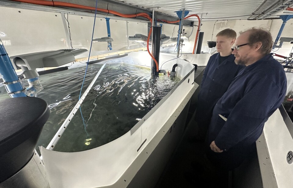 Tobias Backström (til høyre) ved Høgskolen i Molde og Vegard Langvatn ved Salmon Evolution kikker på et oppdrettskar med UVB-belysning over seg.
