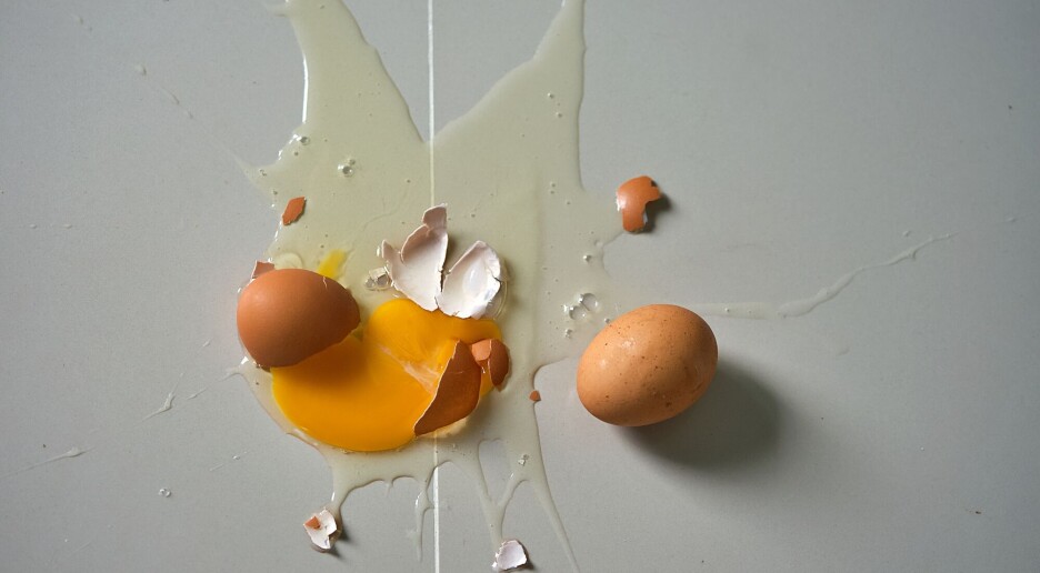 Myte knuses: Egg bør lande på siden