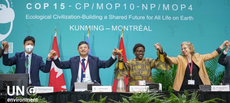 – Det er lenge siden vi har sett så mange positive endringer på så kort tid. Kanskje står vi virkelig ved et vendepunkt for naturen