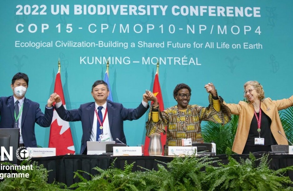 – Det er lenge siden vi har sett så mange positive endringer på så kort tid. Kanskje står vi virkelig ved et vendepunkt for naturen