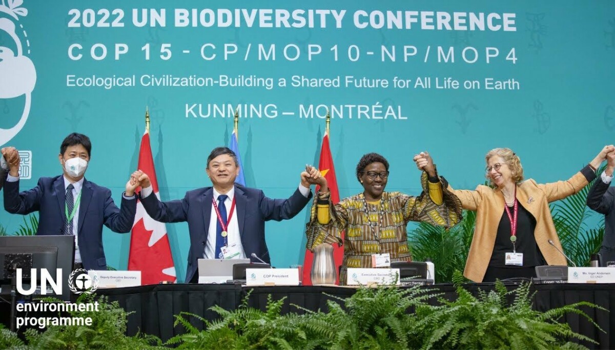 – Det er lenge siden vi har sett så mange positive endringer på så kort tid. Kanskje står vi virkelig ved et vendepunkt for naturen