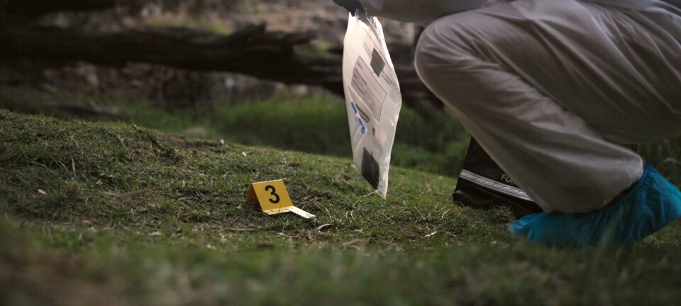 Forsker avliver myte om drapsmenns intelligens