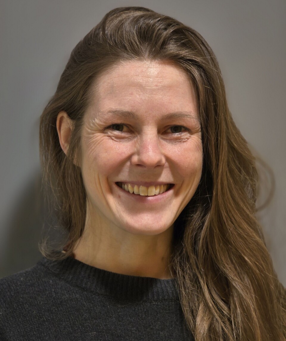 – Hvis vi vil få opp hastigheten, må vi forstå at vi ikke er en del av et dominerende kontinent, sier batteriforsker ved IFE Sanna Sommer.