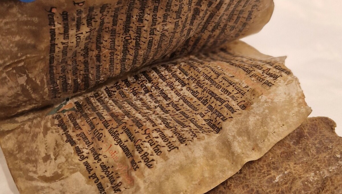 Åtte sider bundet inn i hårete selskinn kan være Norges eldste bok