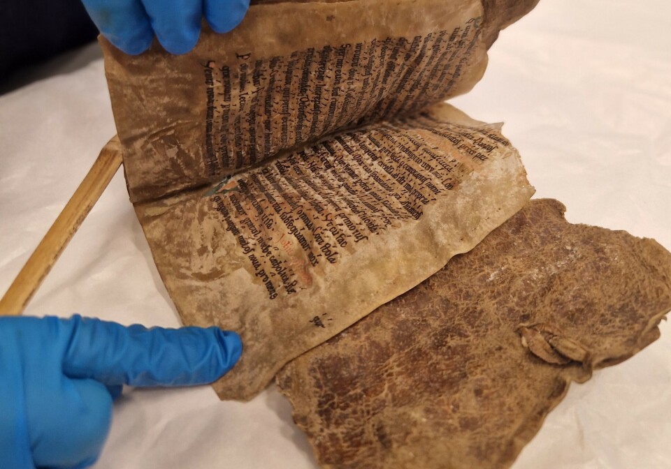 Åtte sider bundet inn i hårete selskinn kan være Norges eldste bok