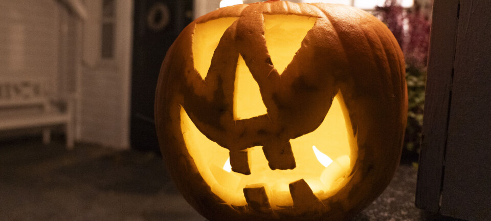 Hvordan holder halloween-gresskaret lengst?