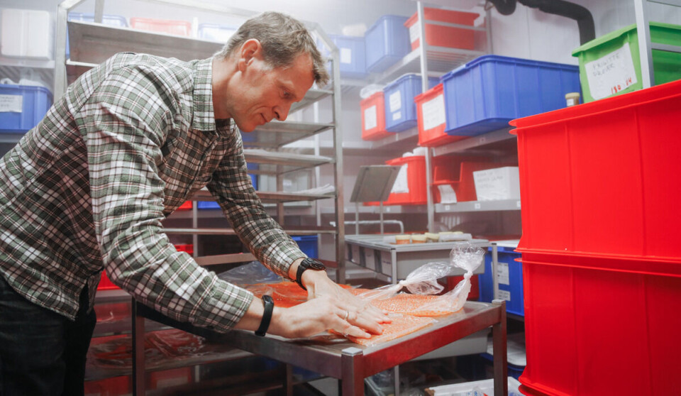 Forsker Arne Duinker fryste rogna for å sjekke om den holder seg frisk fram til festmiddagen, og om den fortsatt er brukbar etter opptining.