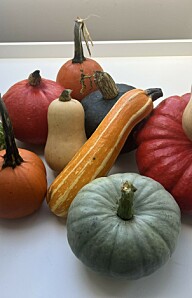 Gresskar er mer enn bare pynt på Halloween