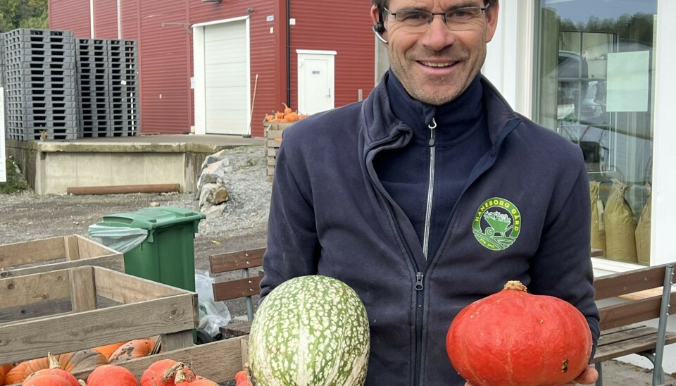 Bonden Ole Martin Tomter på Haneborg gård selger flere ulike typer gresskar.