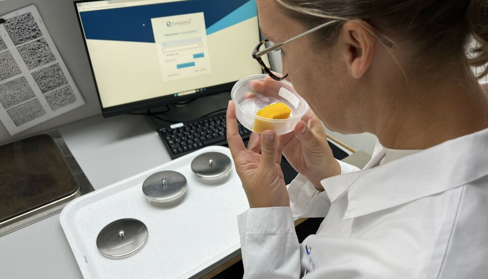 Dommer Malin Sommerseth lukter på Sweet Mama gresskar før hun smaker.