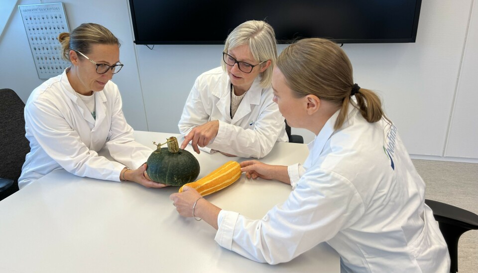 Nofimas smaksdommere vurderte både utseende, lukt og smak. Her diskuterer de tre dommerne utseende. Fra venstre ser du Malin Sommerseth, Ann Kristin Enger og Gry Anette Valstad.