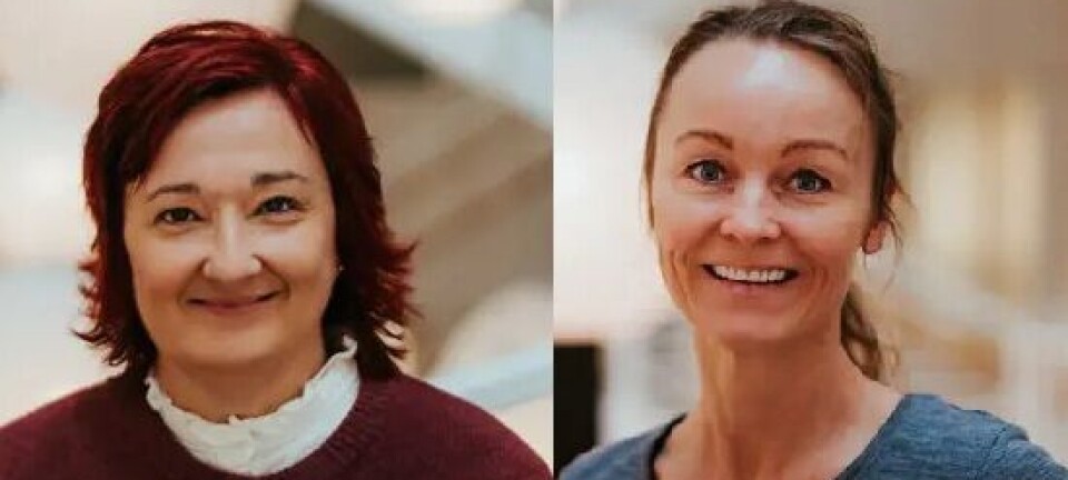 Dette er de skjulte kostnadene ved mislykket integrering