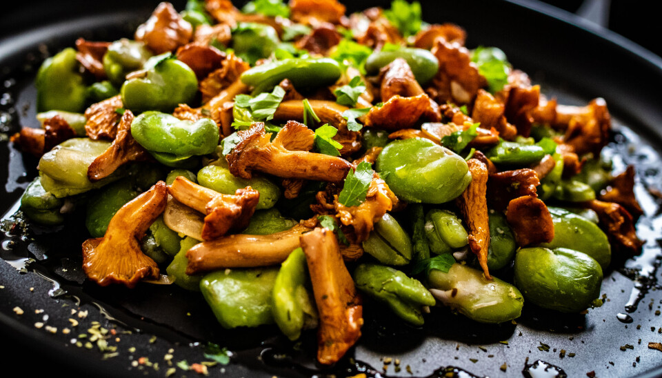 Hva med en høstsalat med åkerbønner og kantareller?