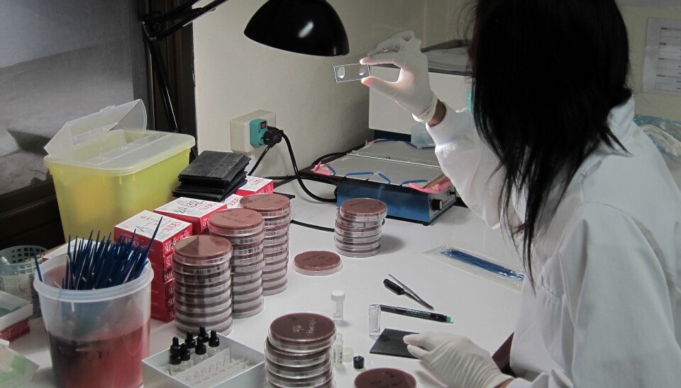 Prøvene ble innhentet i Thailand.