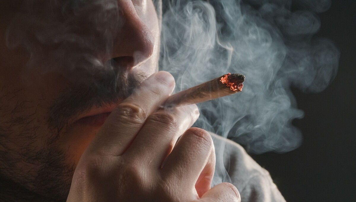 Hvorfor prøver noen cannabis – mens andre lar være?