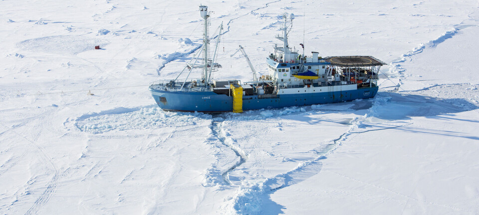 Forskere vil gjenåpne samarbeidet med Russland i nord