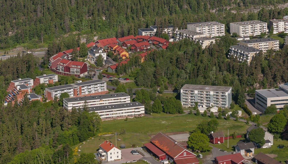 Analyse av 10.000 boligsalg: En skog eller park beskytter boligverdien